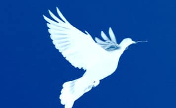 Diari d’Europa #12 – Il Coronavirus e la pace nel mondo