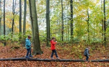 Diari d’Europa #363 – Proteggere le foreste