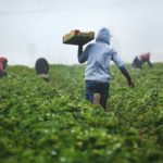 Foto di Tim Mossholder su Unsplash