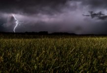 Foto di Eugene Triguba su Unsplash