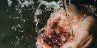 Foto di Nathan Dumlao su Unsplash