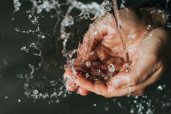 Foto di Nathan Dumlao su Unsplash