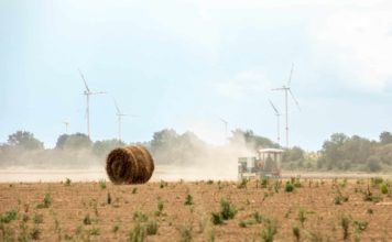 Photographer: Xavier Lejeune European Union, 2020 Source: EC - Audiovisual Service