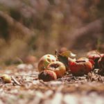 Foto di Joshua Hoehne su Unsplash