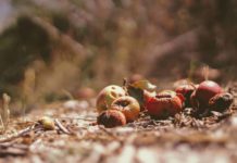 Foto di Joshua Hoehne su Unsplash