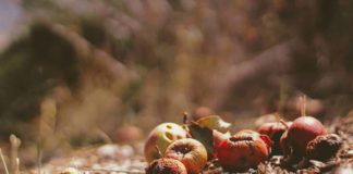 Foto di Joshua Hoehne su Unsplash