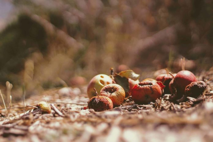 Foto di Joshua Hoehne su Unsplash