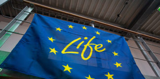 European Union, 2024 Please check our Copyright Section - Additional restrictions might apply Source: EC - Audiovisual Service