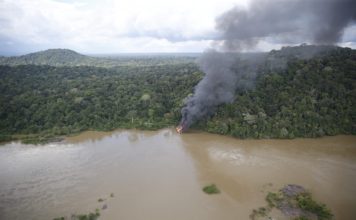 UE vs crimine ambientale: contrasto ai commerci illeciti e rafforzamento delle risposte globali Ibama from Brasil, CC BY-SA 2.0 , via Wikimedia Commons