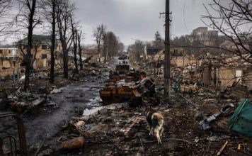 Image by HUNG QUACH from Pixabay