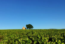 UNESCO Global Geopark Beaujolais, CC BY-SA 4.0 , via Wikimedia Commons