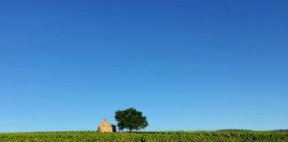 UNESCO Global Geopark Beaujolais, CC BY-SA 4.0 , via Wikimedia Commons