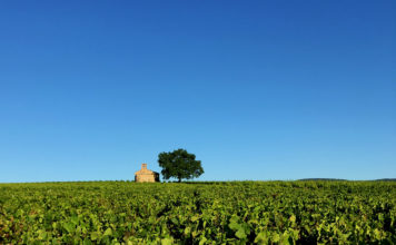 UNESCO Global Geopark Beaujolais, CC BY-SA 4.0 , via Wikimedia Commons