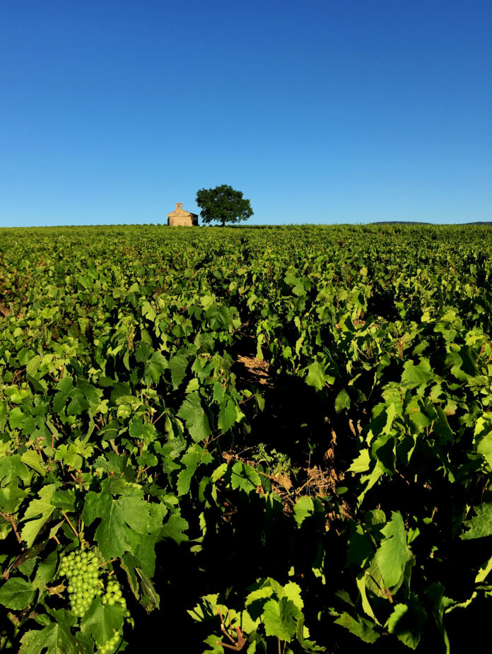 UNESCO Global Geopark Beaujolais, CC BY-SA 4.0 , via Wikimedia Commons