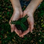 Foto di Noah Buscher su Unsplash