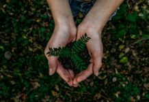 Foto di Noah Buscher su Unsplash