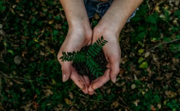 Foto di Noah Buscher su Unsplash