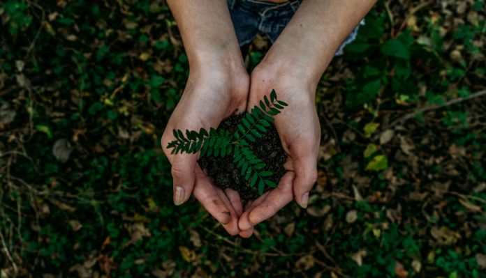 Foto di Noah Buscher su Unsplash
