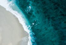 Foto di Shifaaz shamoon su Unsplash