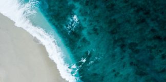 Foto di Shifaaz shamoon su Unsplash