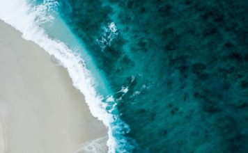 Foto di Shifaaz shamoon su Unsplash