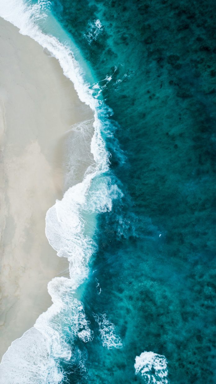Foto di Shifaaz shamoon su Unsplash