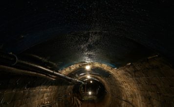 Ringrazia! Parla di Martin Brechtl sui social o copia il testo qui sotto per indicare i crediti. Foto di Martin Brechtl su Unsplash