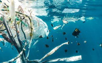 Plastica e imballaggi: l’Europa ricicla di più, ma produce ancora troppo Foto di Naja Bertolt Jensen su Unsplash