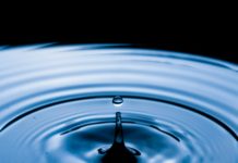 Foto di Omar Gattis su Unsplash