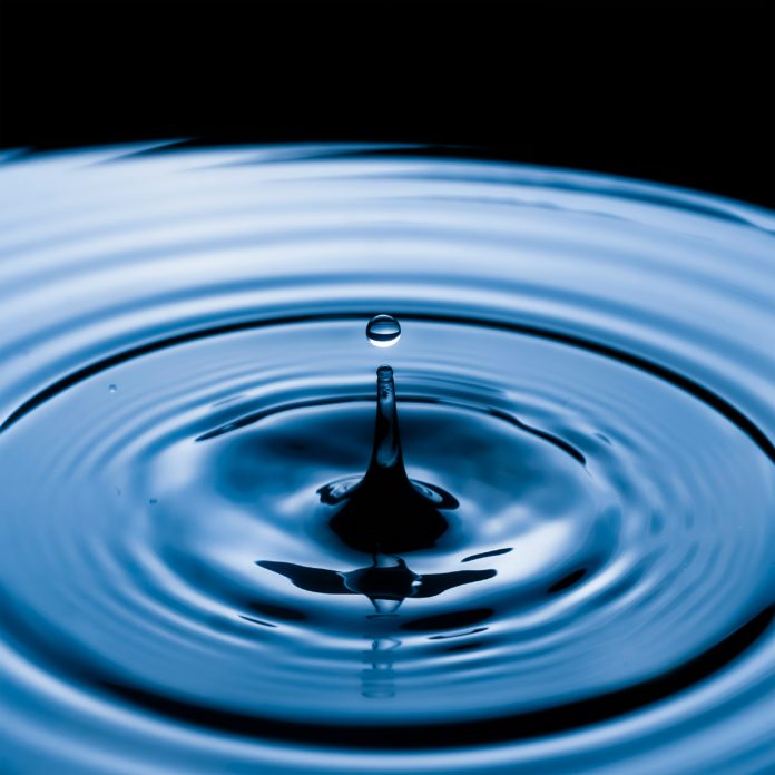 Foto di Omar Gattis su Unsplash