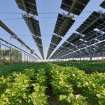 Source EC - Audiovisual Service Cooperators Producer : CE - Service audiovisuel Photographer : Nicolas Kovarik Copyright European Union, 2025