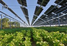 Source EC - Audiovisual Service Cooperators Producer : CE - Service audiovisuel Photographer : Nicolas Kovarik Copyright European Union, 2025