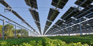 Source EC - Audiovisual Service Cooperators Producer : CE - Service audiovisuel Photographer : Nicolas Kovarik Copyright European Union, 2025