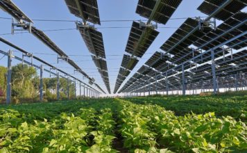 Source EC - Audiovisual Service Cooperators Producer : CE - Service audiovisuel Photographer : Nicolas Kovarik Copyright European Union, 2025