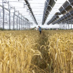 La proposta della Commissione per un’agricoltura europea più sostenibile e resiliente Source EC - Audiovisual Service Cooperators Producer : CE - Service audiovisuel Photographer : Nicolas Kovarik Copyright European Union, 2025 Scopes : Released for information and education purposes