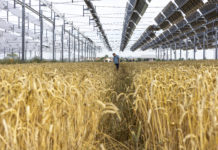 Source EC - Audiovisual Service Cooperators Producer : CE - Service audiovisuel Photographer : Nicolas Kovarik Copyright European Union, 2025 Scopes : Released for information and education purposes