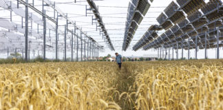 Source EC - Audiovisual Service Cooperators Producer : CE - Service audiovisuel Photographer : Nicolas Kovarik Copyright European Union, 2025 Scopes : Released for information and education purposes