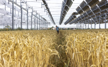 Source EC - Audiovisual Service Cooperators Producer : CE - Service audiovisuel Photographer : Nicolas Kovarik Copyright European Union, 2025 Scopes : Released for information and education purposes