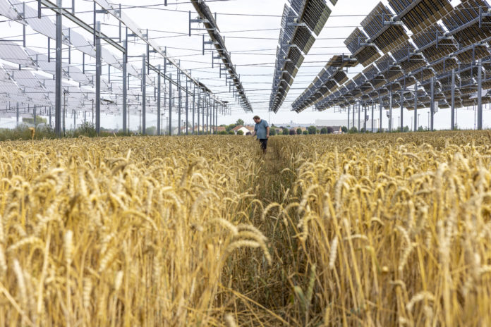 Source EC - Audiovisual Service Cooperators Producer : CE - Service audiovisuel Photographer : Nicolas Kovarik Copyright European Union, 2025 Scopes : Released for information and education purposes