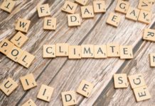 Obiettivi climatici ambiziosi ma raggiungibili Foto di Markus Winkler su Unsplash