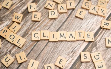 Obiettivi climatici ambiziosi ma raggiungibili Foto di Markus Winkler su Unsplash