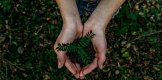 Economia sociale al centro dell’ultimo Eurobarometro Foto di Noah Buscher su Unsplash