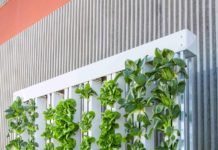 Foto di BrightAgrotech da Pixabay