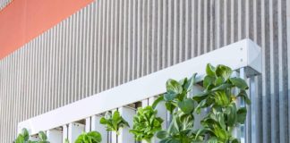 Foto di BrightAgrotech da Pixabay