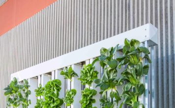 Foto di BrightAgrotech da Pixabay