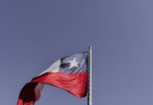 Foto di Elias Almaguer su Unsplash