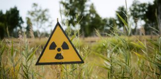 Il nucleare europeo tra investimenti e futuro energetico secondo il CESE Foto di Kilian Karger su Unsplash