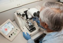 L’Unione investe di più in R&S, ma l’Italia rimane tra i Paesi meno competitivi Foto di National Cancer Institute su Unsplash