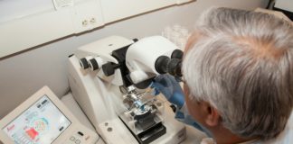 L’Unione investe di più in R&S, ma l’Italia rimane tra i Paesi meno competitivi Foto di National Cancer Institute su Unsplash