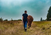 Image by TheArkow from Pixabay